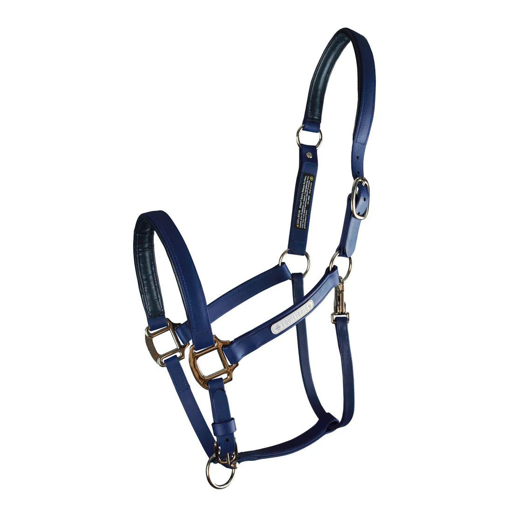 Equilibrium Stellar Headcollar II - Aitken's Saddlery