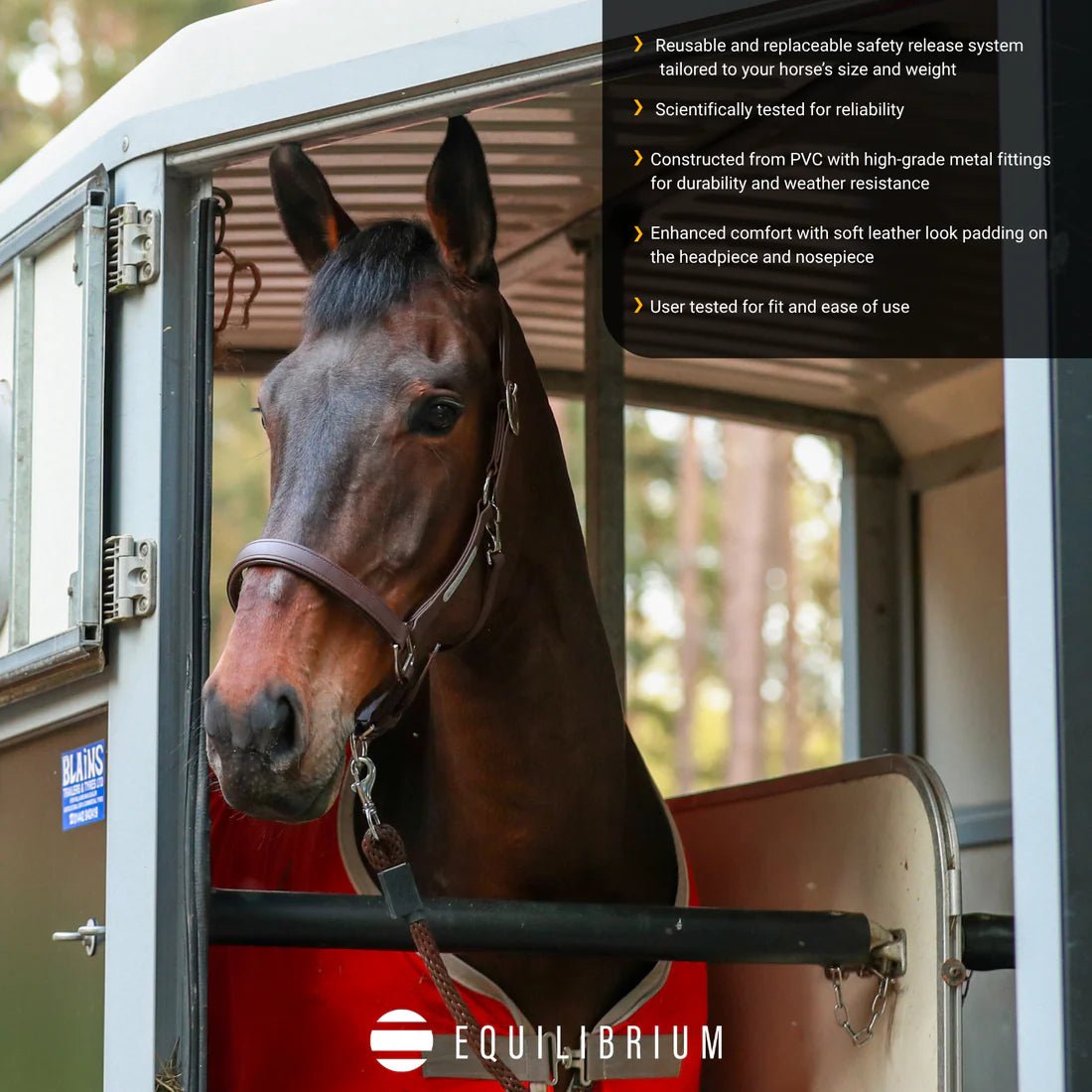 Equilibrium Stellar Headcollar II - Aitken's Saddlery