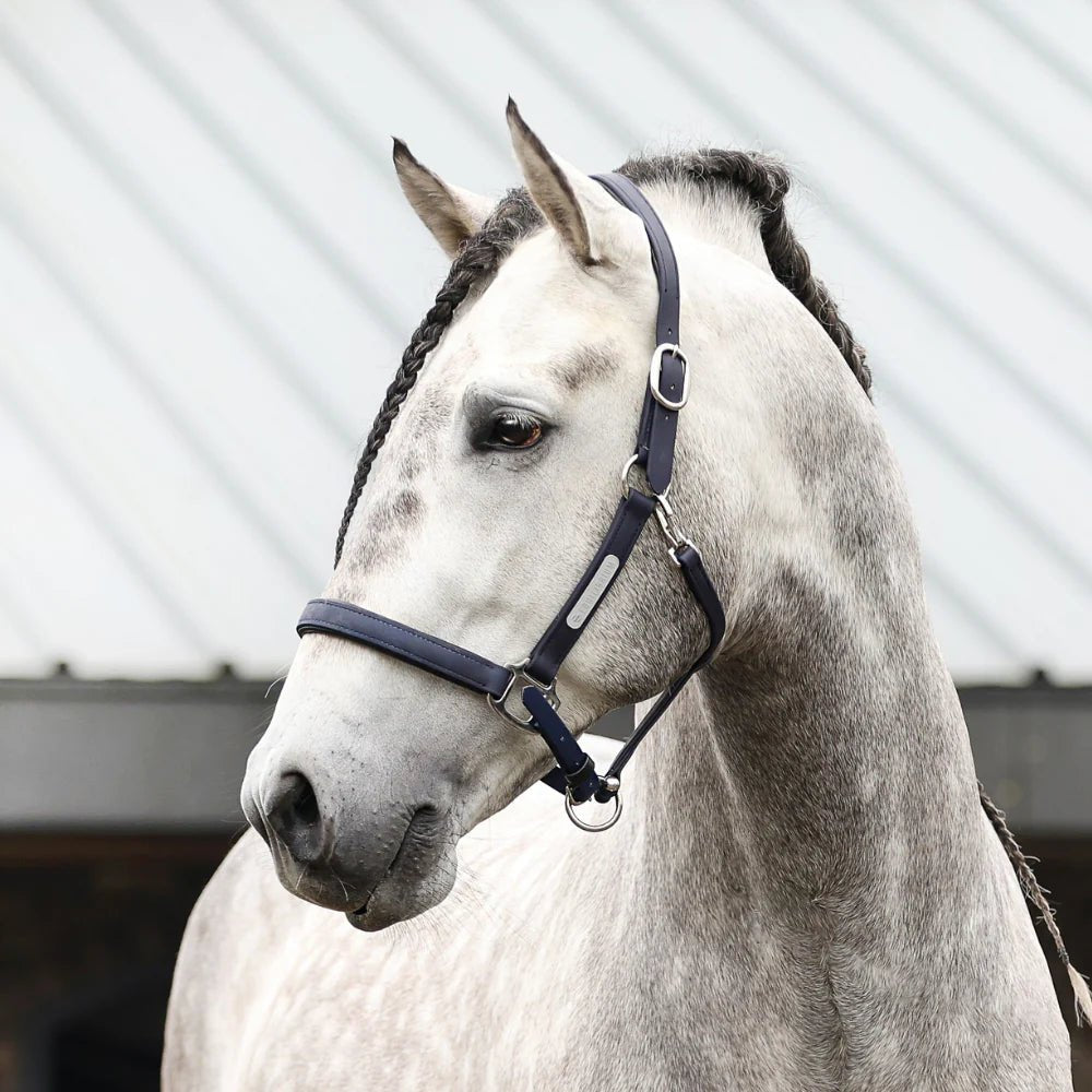 Equilibrium Stellar Headcollar II - Aitken's Saddlery