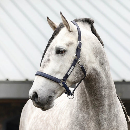 Equilibrium Stellar Headcollar II - Aitken's Saddlery