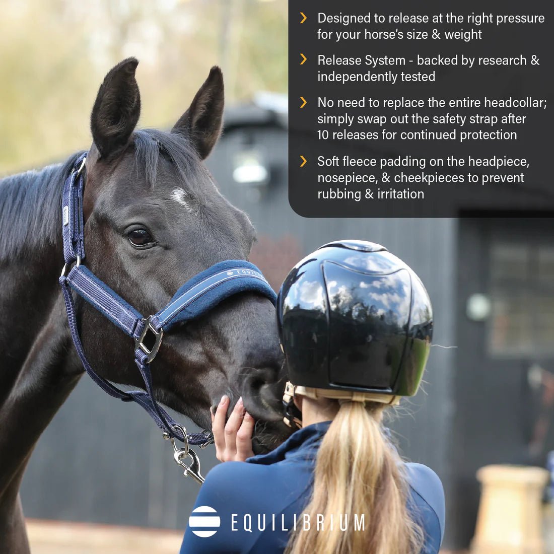 Equilibrium Stellar Style Halter - Aitken's Saddlery