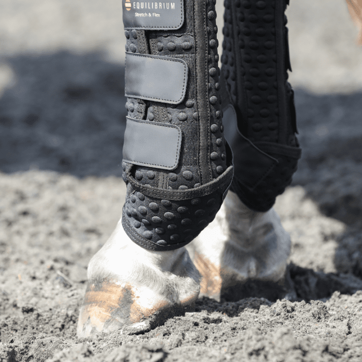 Equilibrium Stretch & Flex New Training Boots Black - Aitken's Saddlery