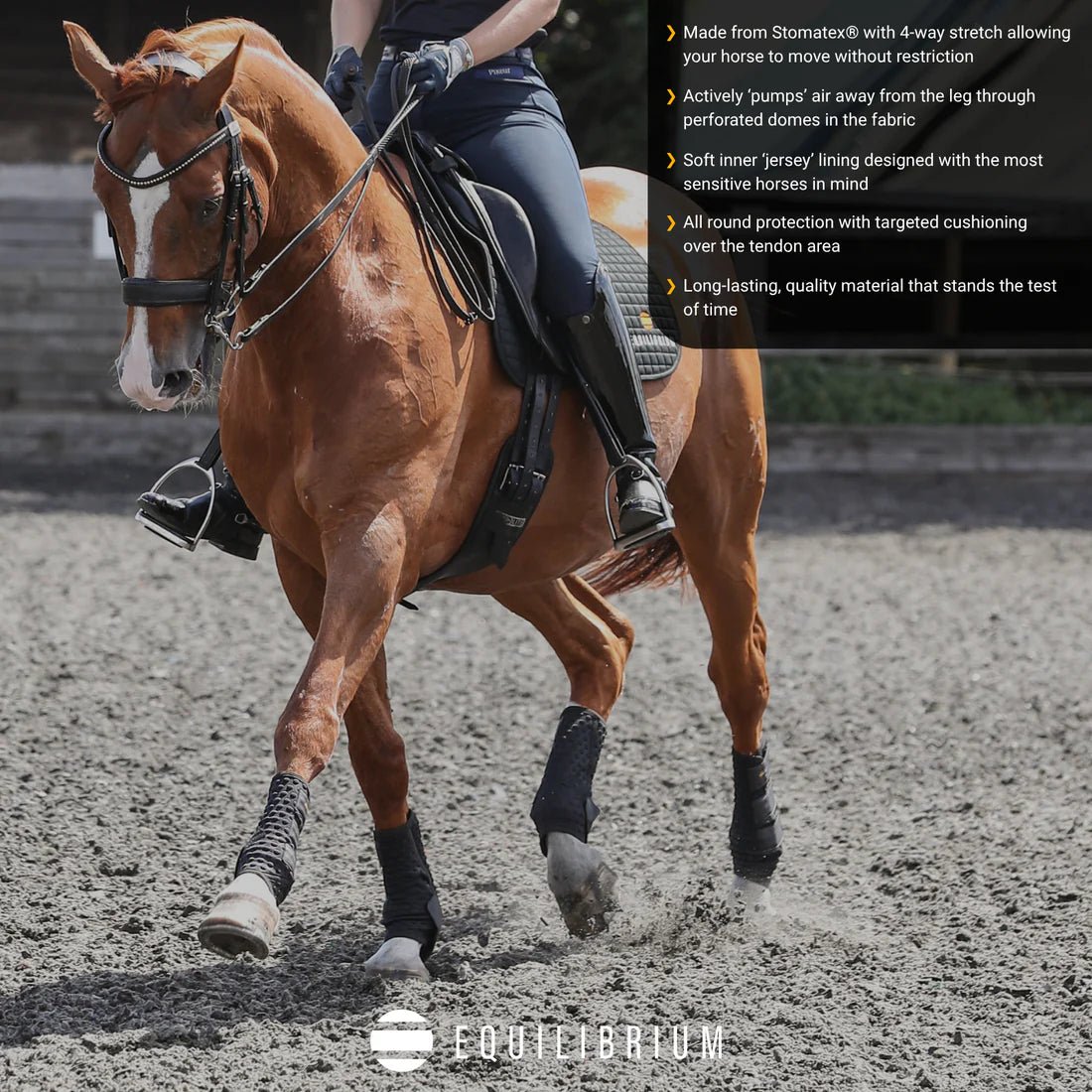 Equilibrium Stretch & Flex New Training Boots Black - Aitken's Saddlery