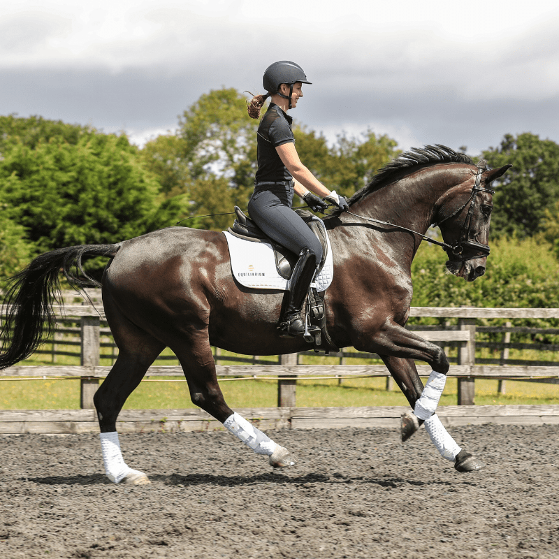 Equilibrium Stretch & Flex New Training Boots White - Aitken's Saddlery