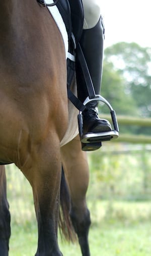 Equilibrium Symmetry Straps - Aitken's Saddlery