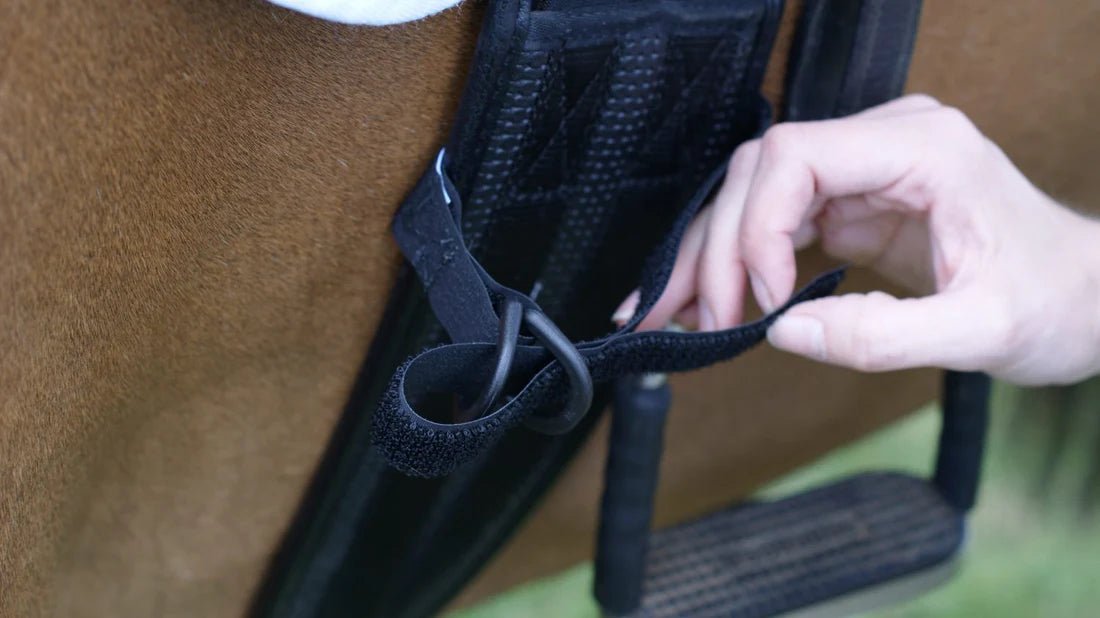 Equilibrium Symmetry Straps - Aitken's Saddlery