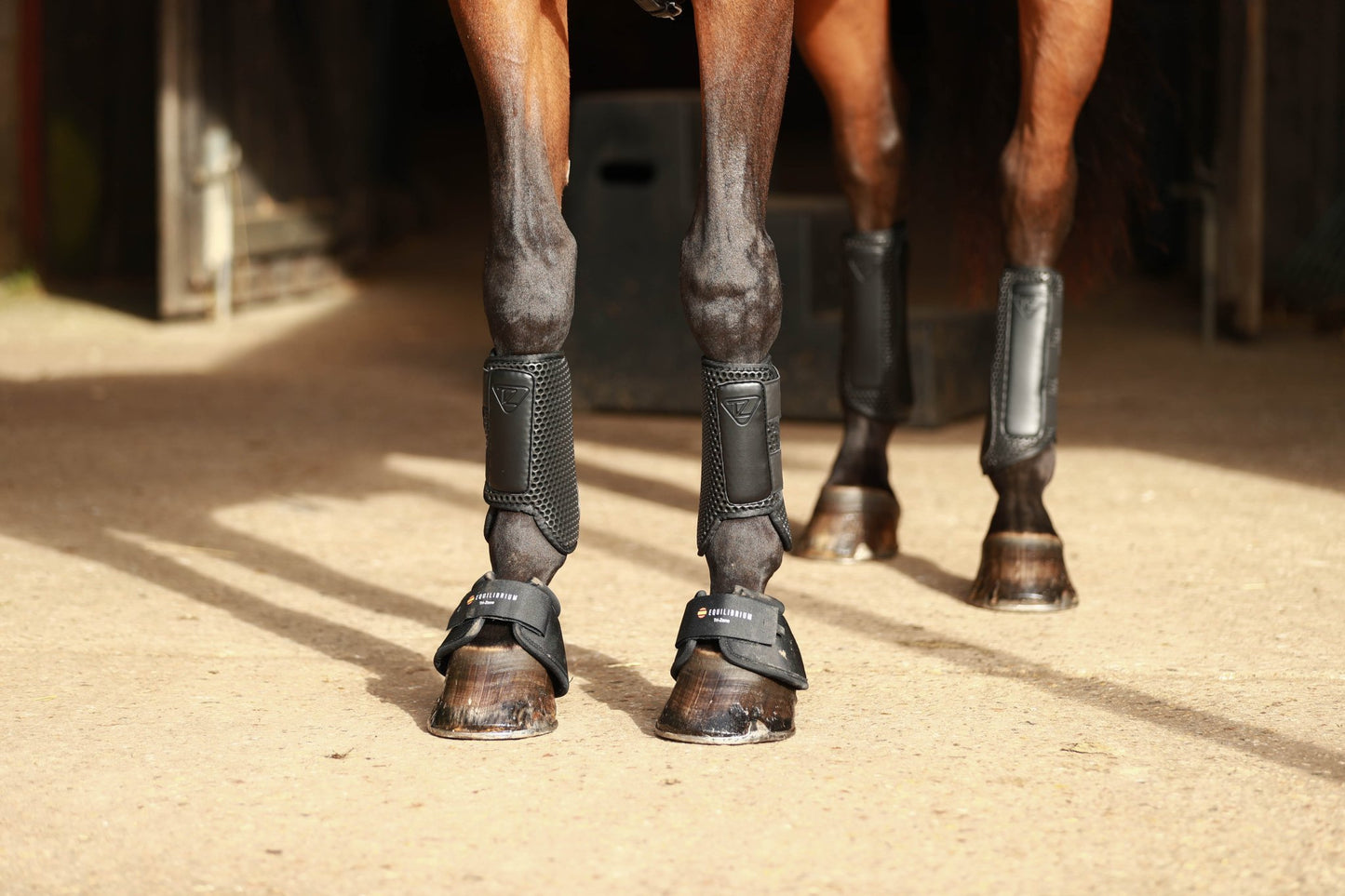 Equilibrium Tri Zone Impact Sports Boot Black - Aitken's Saddlery