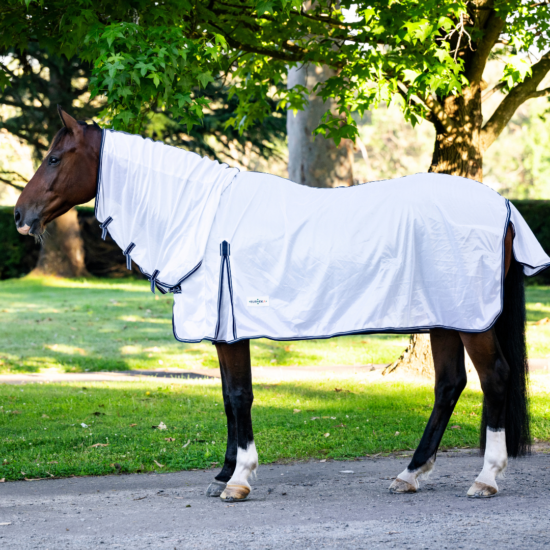 Eureka Essential Mesh Combo - Aitken's Saddlery