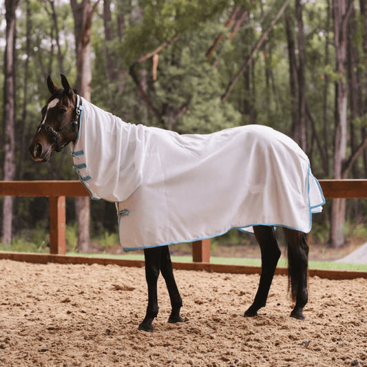 Eureka Flag Combo White with Blue Trim - Aitken's Saddlery