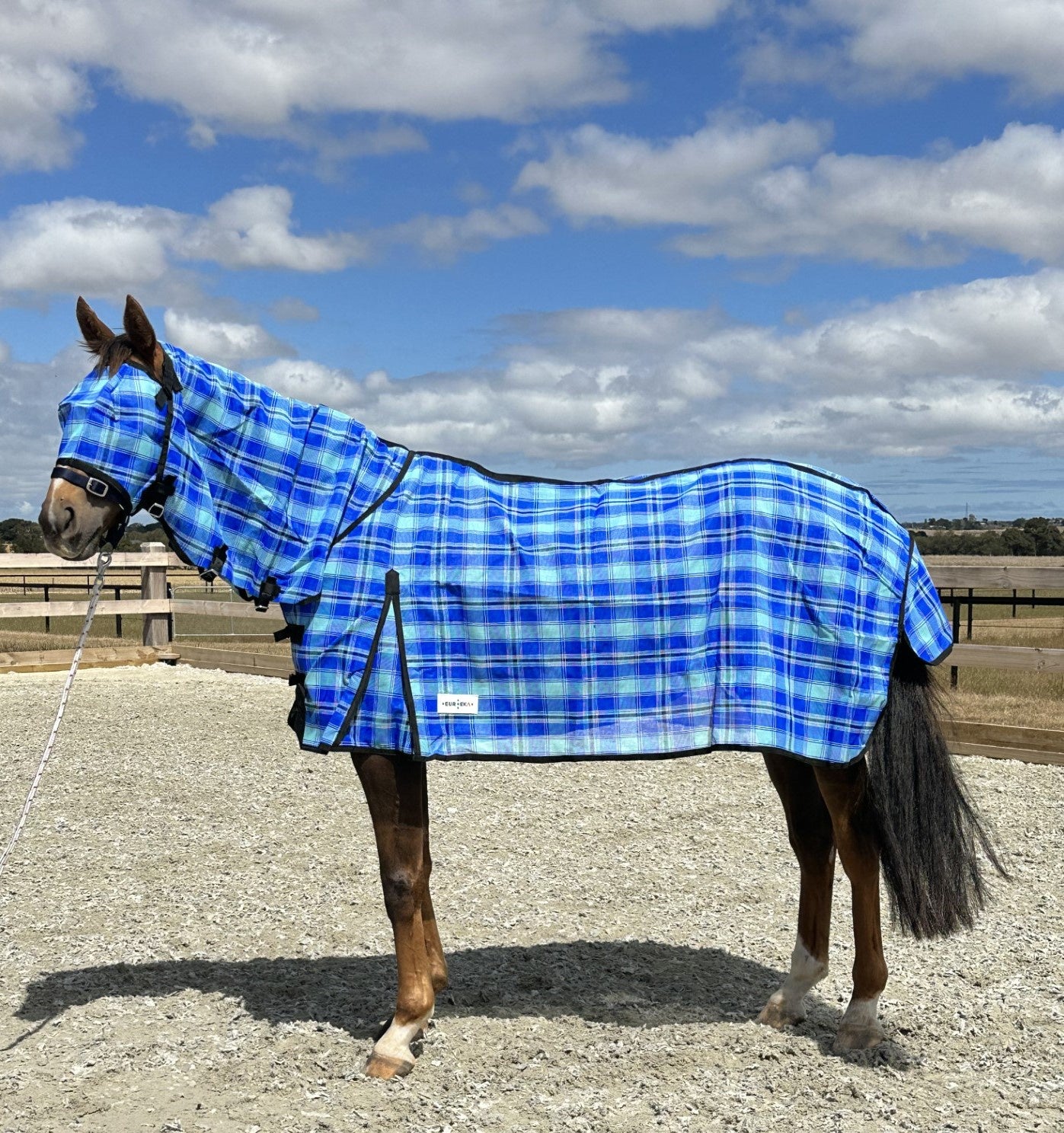 Mesh Shadecloth Combo Blue with Bonus Fly Mask