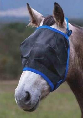 Eureka Standard Fly Mask - Aitken's Saddlery