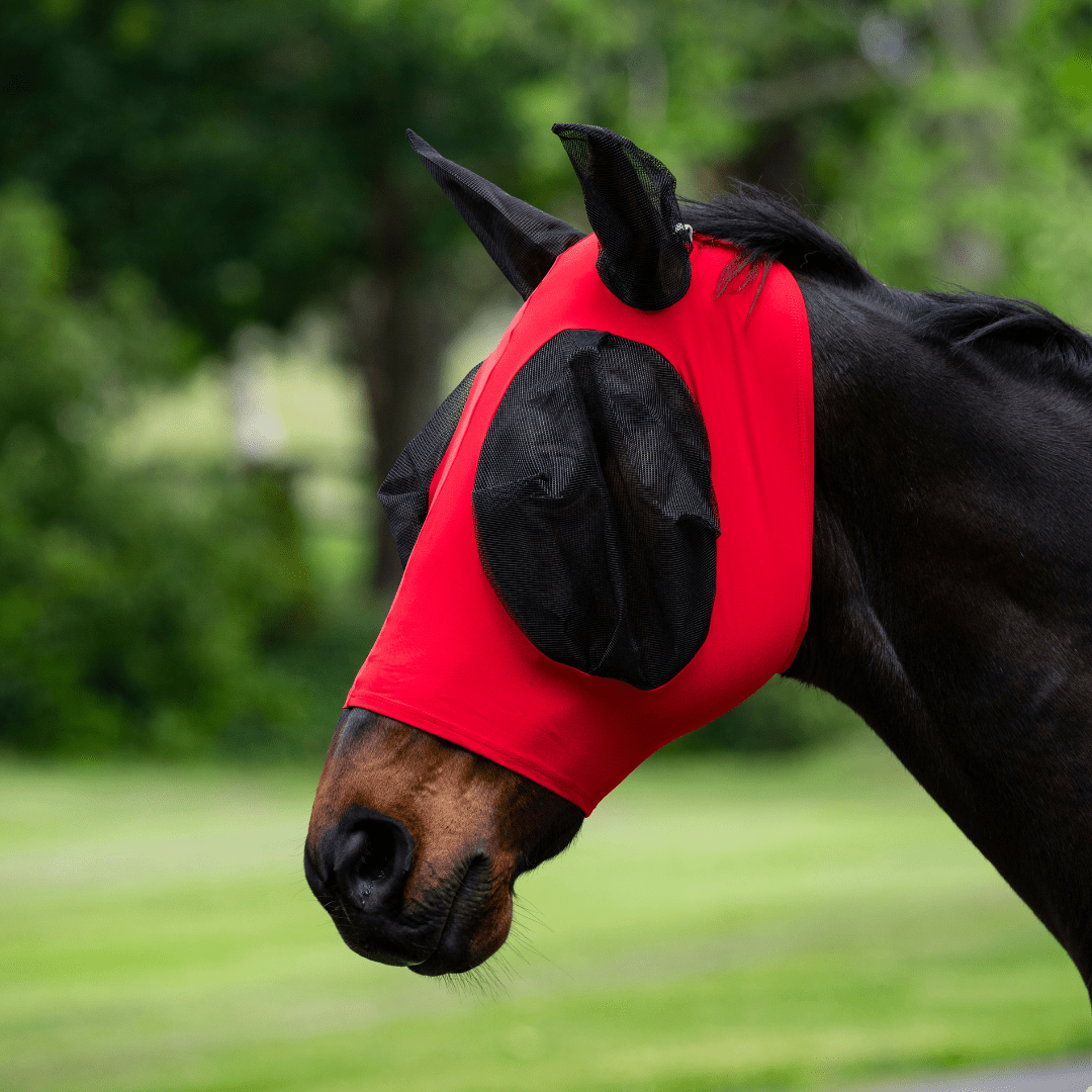 Eureka Stretch Bug Eye Fly Mask - Aitken's Saddlery