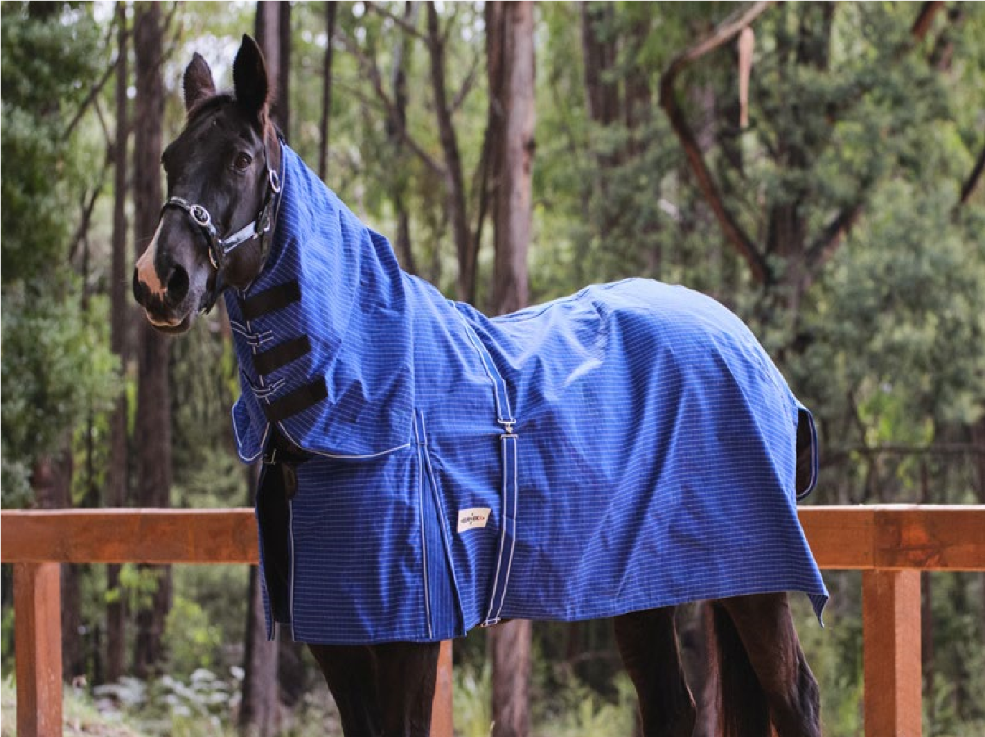 Eureka Unlined Blue Canvas Combo Blue - Aitken's Saddlery