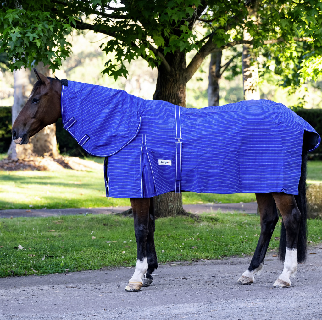 Eureka Unlined Blue Canvas Combo Blue - Aitken's Saddlery