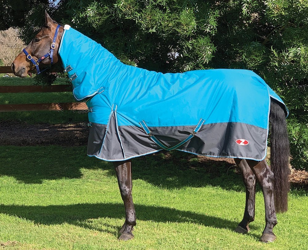 Explorer 100g Fill Combo Turquoise & Grey - Aitken's Saddlery
