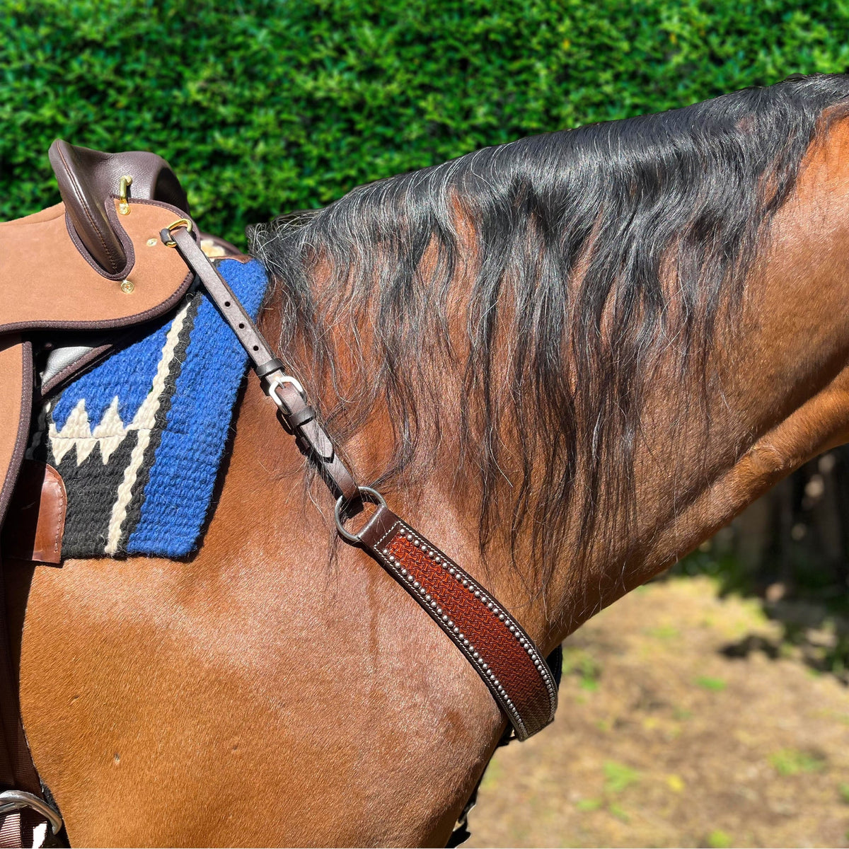 Ezy Ride Breastplate Shaped with Dots and Stamping Dark Brown - Aitken's Saddlery