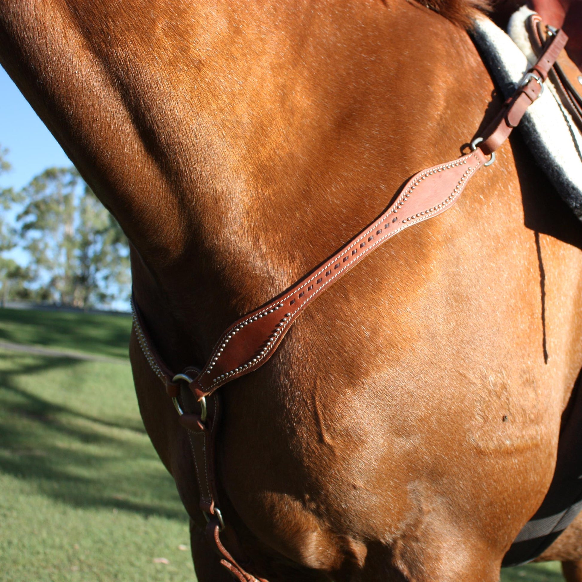 Ezy Ride Breastplate Shaped with Lace and Dots Harness Leather - Aitken's Saddlery