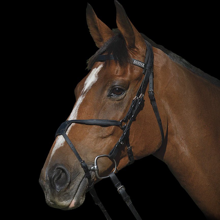 Fairfax Race Grakle Race Bridle - Aitken's Saddlery