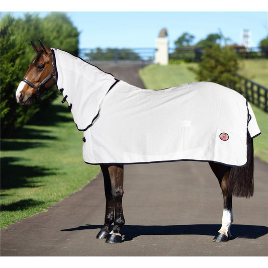 Flag Horse Rug Combo White with Navy - Aitken's Saddlery