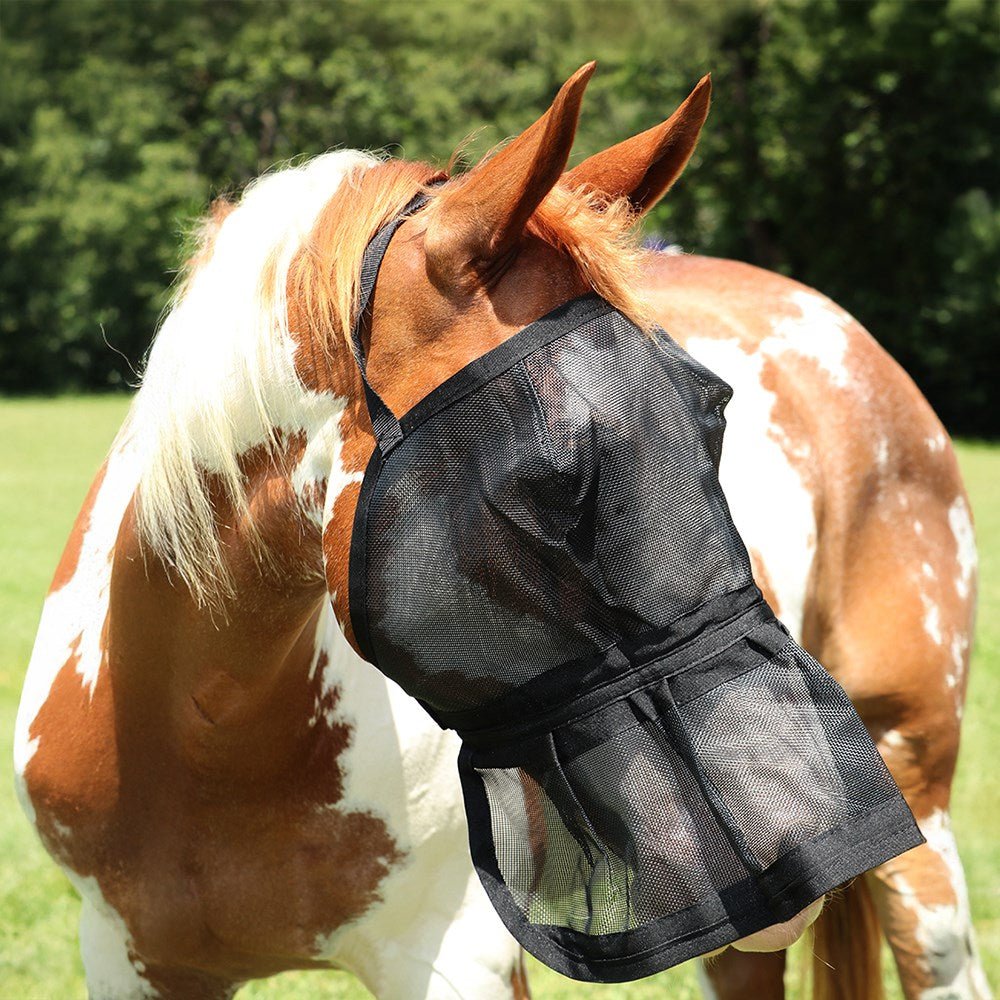 Fly Mask with Skirt Black - Aitken's Saddlery