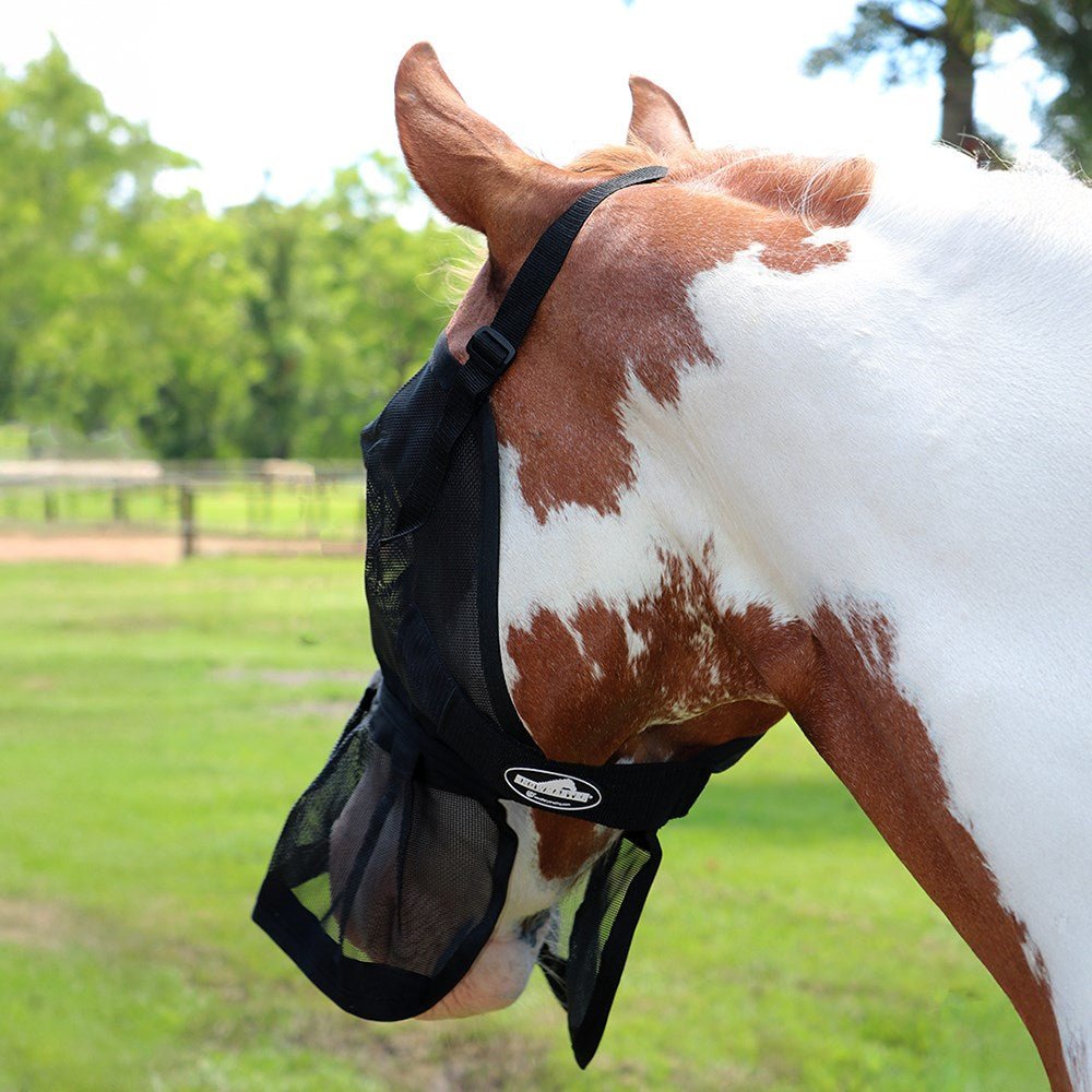 Fly Mask with Skirt Black - Aitken's Saddlery