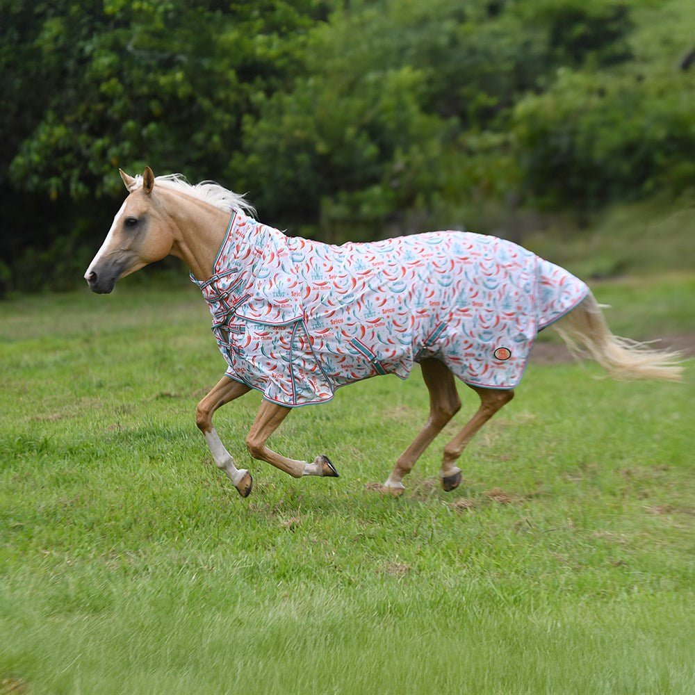 Fly Mesh Combo w/Surcingles Hot to Trot - Aitken's Saddlery