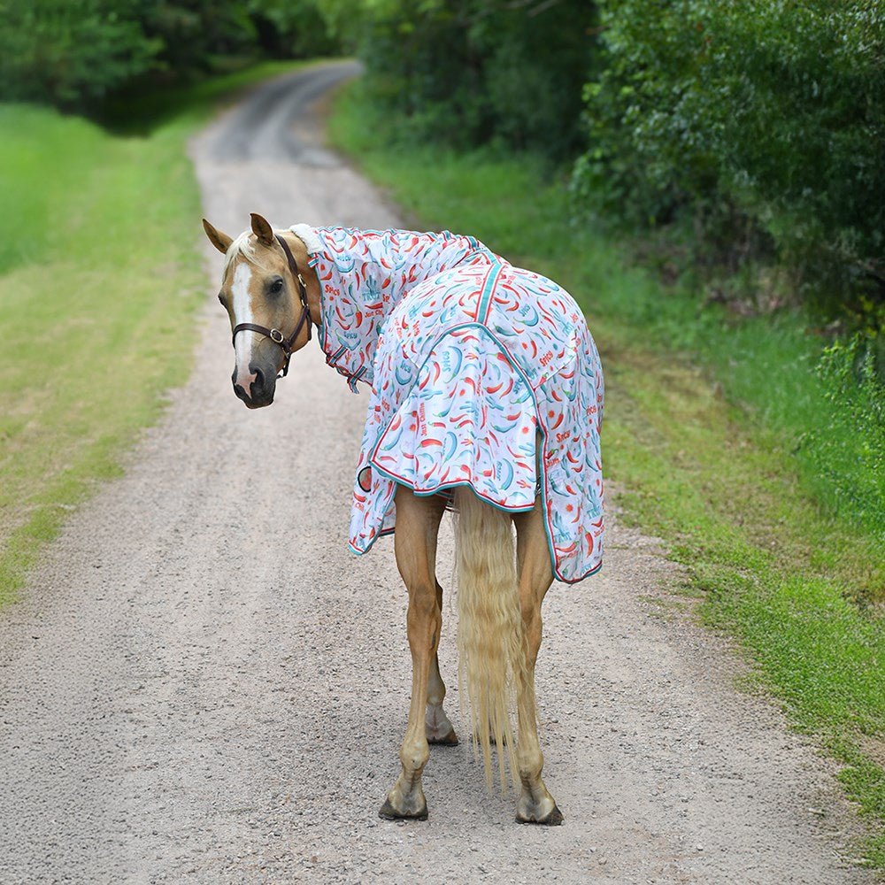Fly Mesh Combo w/Surcingles Hot to Trot - Aitken's Saddlery