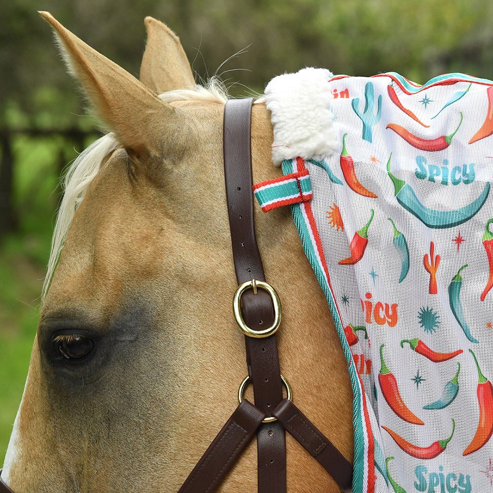 Fly Mesh Combo w/Surcingles Hot to Trot - Aitken's Saddlery