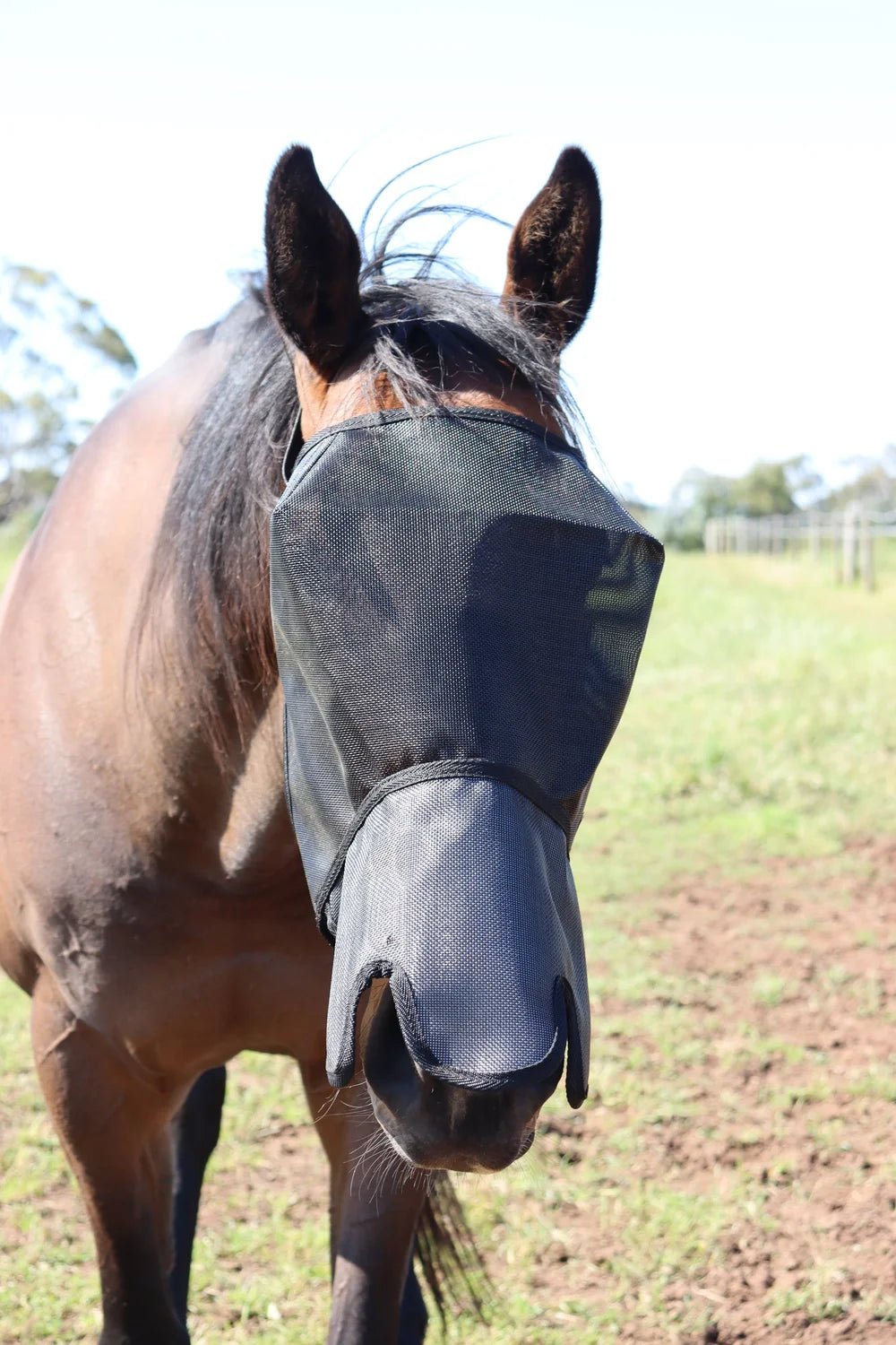 Flyveil by Design 100% UV Blockout Shaped Nose Australian Made - Aitken's Saddlery