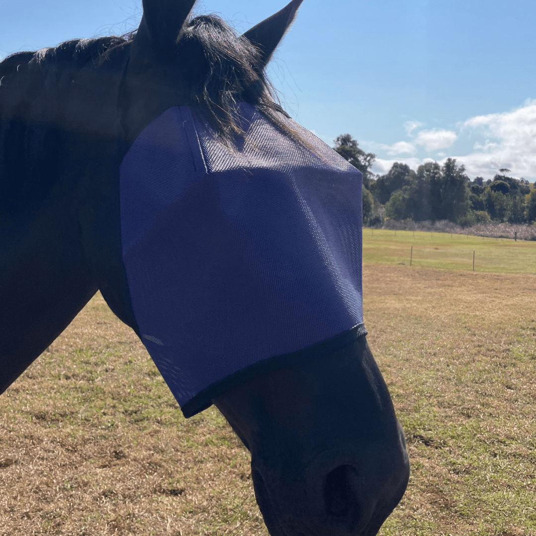 Flyveil by Design Economy Flyveil Dark Purple - Aitken's Saddlery