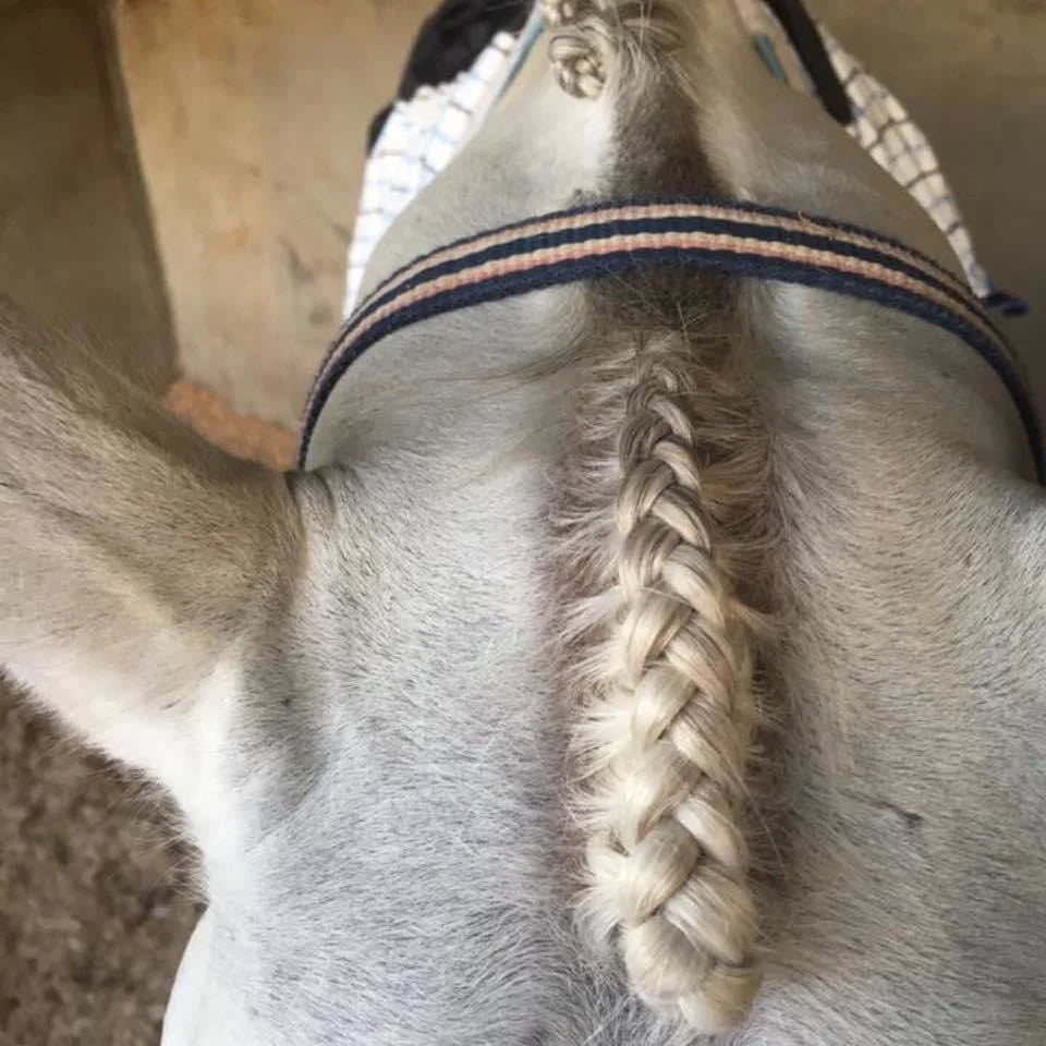Hairy Pony Fastening Scissors