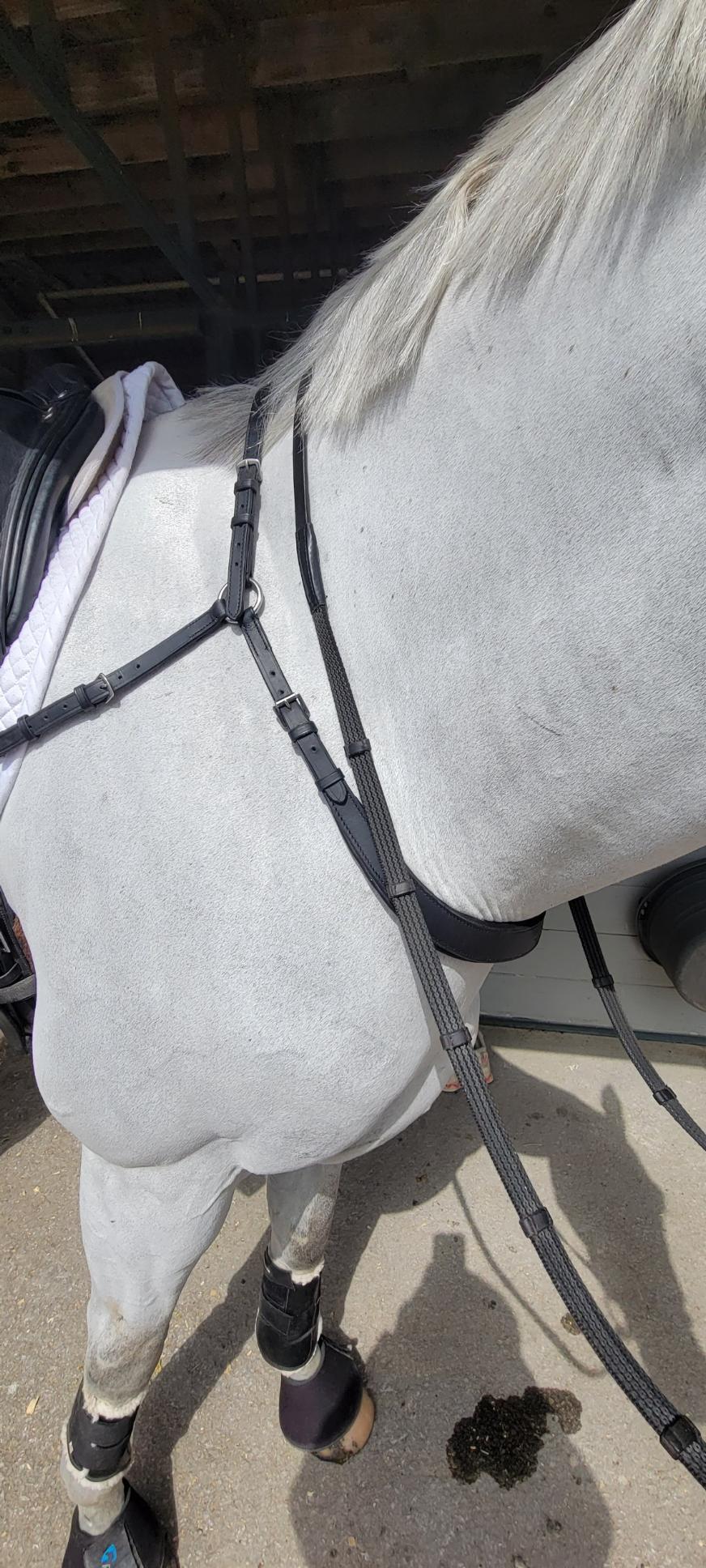 Free Motion Breastplate - Aitken's Saddlery