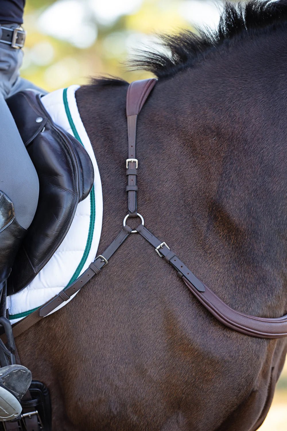 Free Motion Breastplate - Aitken's Saddlery