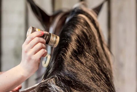 Grooming Plaiting Wax - Aitken's Saddlery