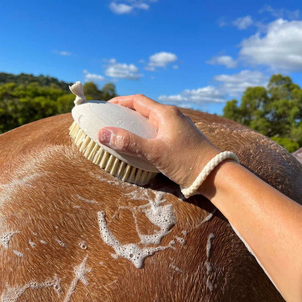 Hairy Pony Wash Bay Brush - Aitken's Saddlery