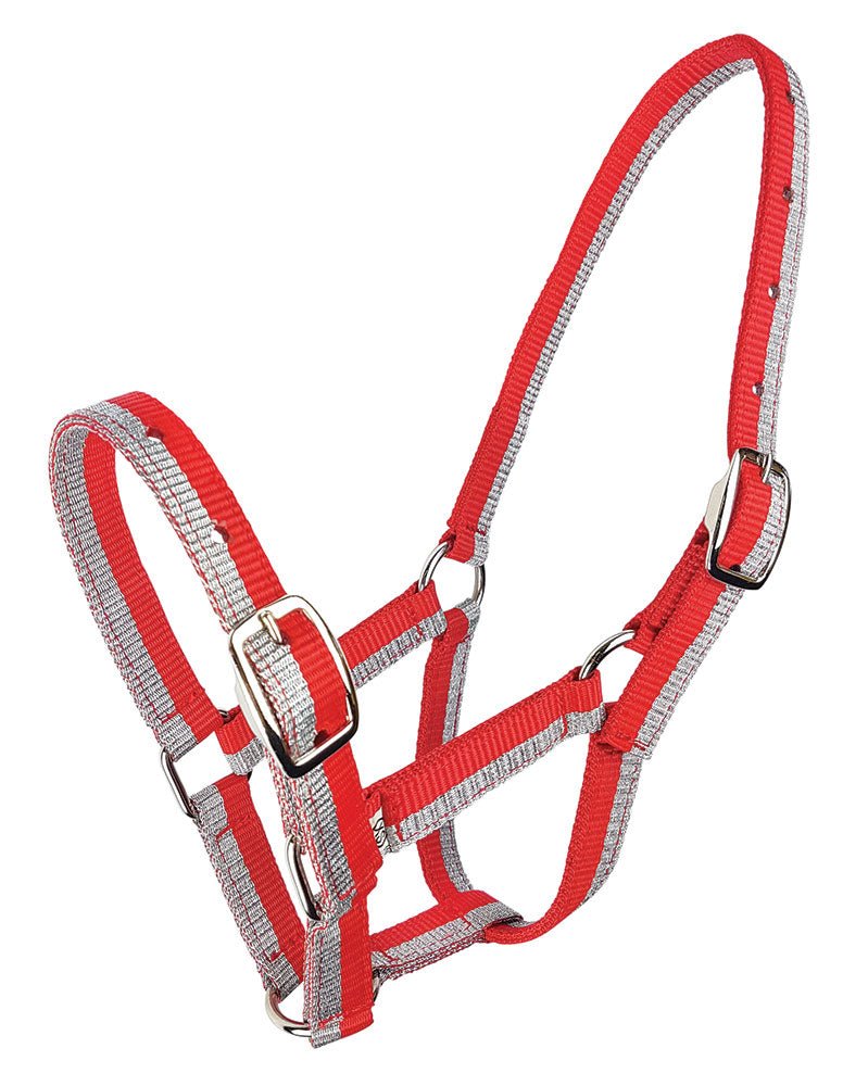 Halter Sparkle Foal/Small Pony - Aitken's Saddlery