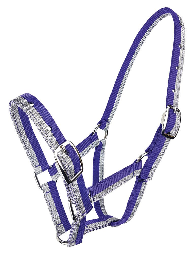 Halter Sparkle Foal/Small Pony - Aitken's Saddlery