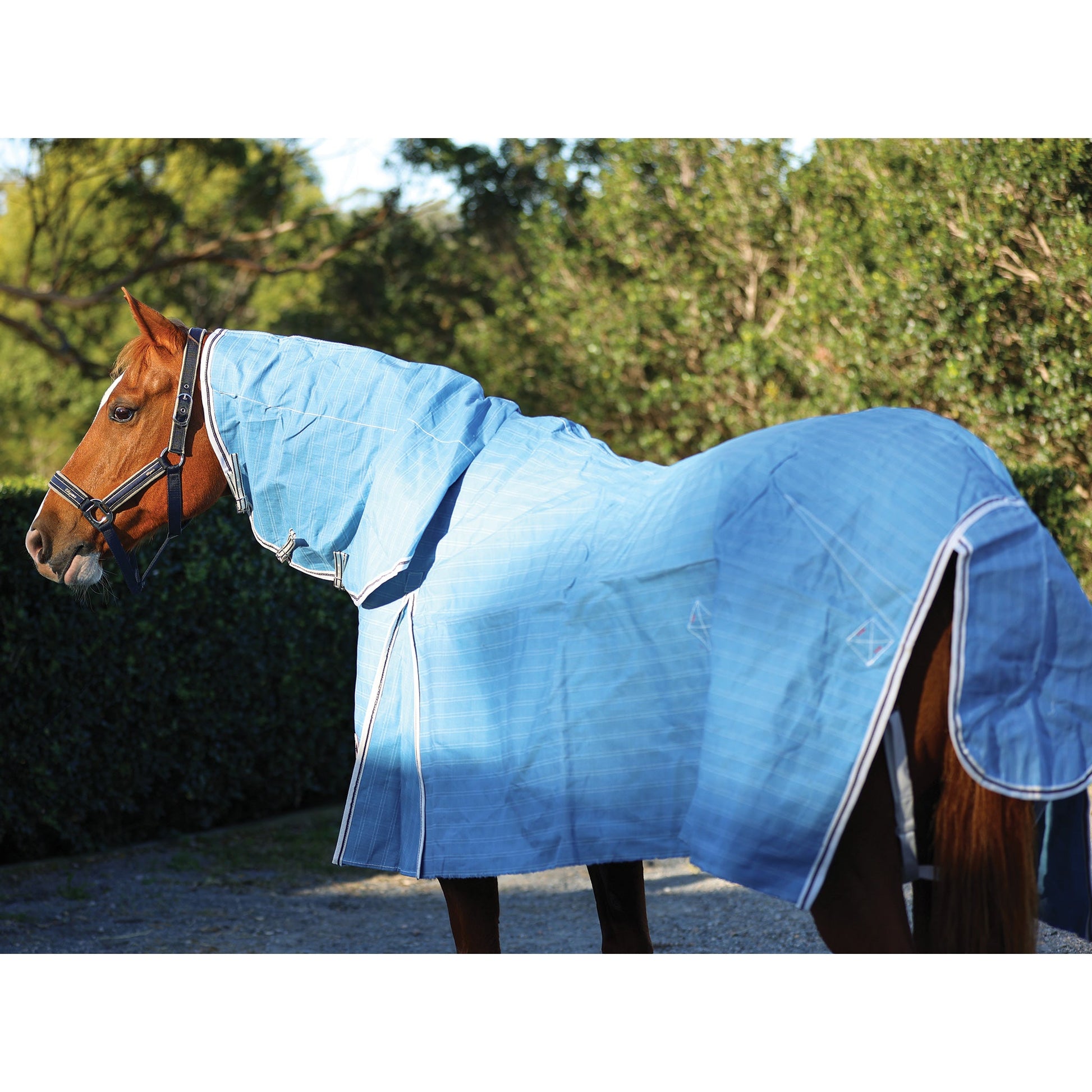 Hamilton Canvas Combo - Aitken's Saddlery