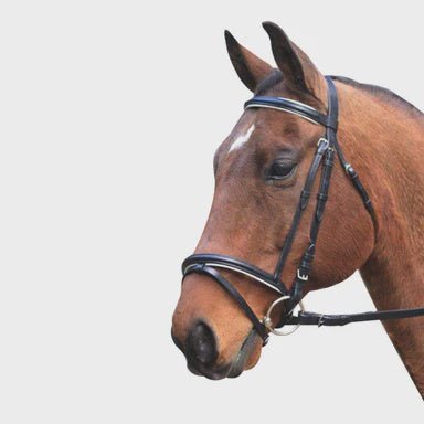 Hannovrian Bridle Black with White - Aitken's Saddlery