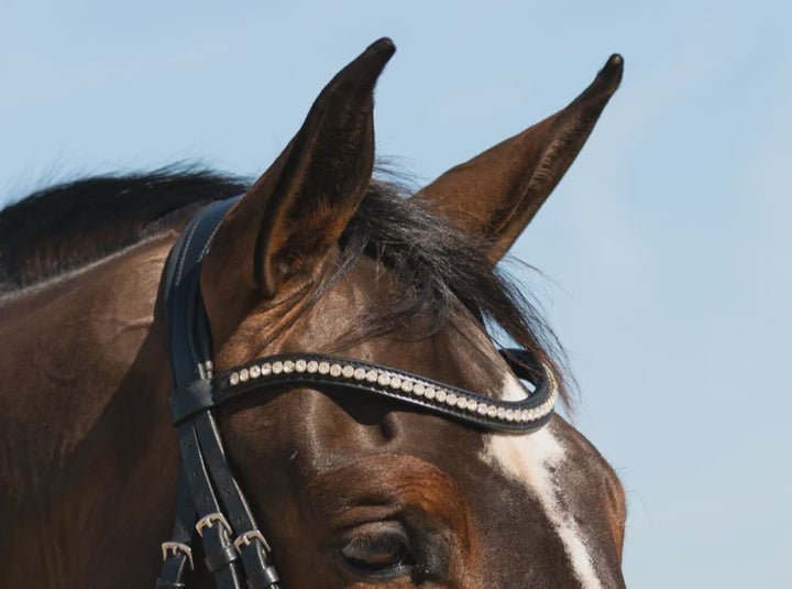 Hidden Flash Pro Fit Bridle Patent Noseband & Crystal Browband Black - Aitken's Saddlery