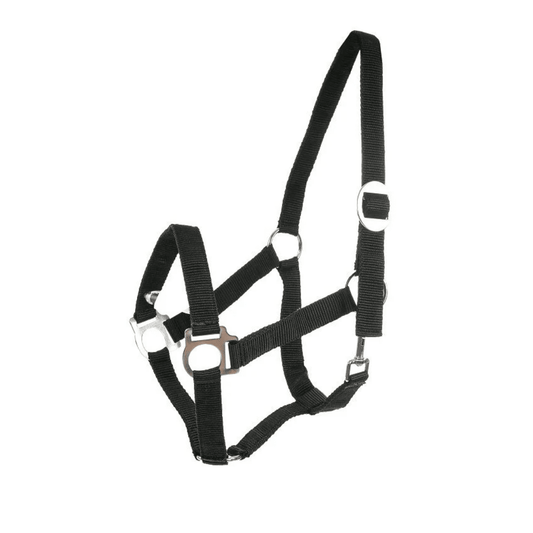 Horze Basic Halter - Aitken's Saddlery