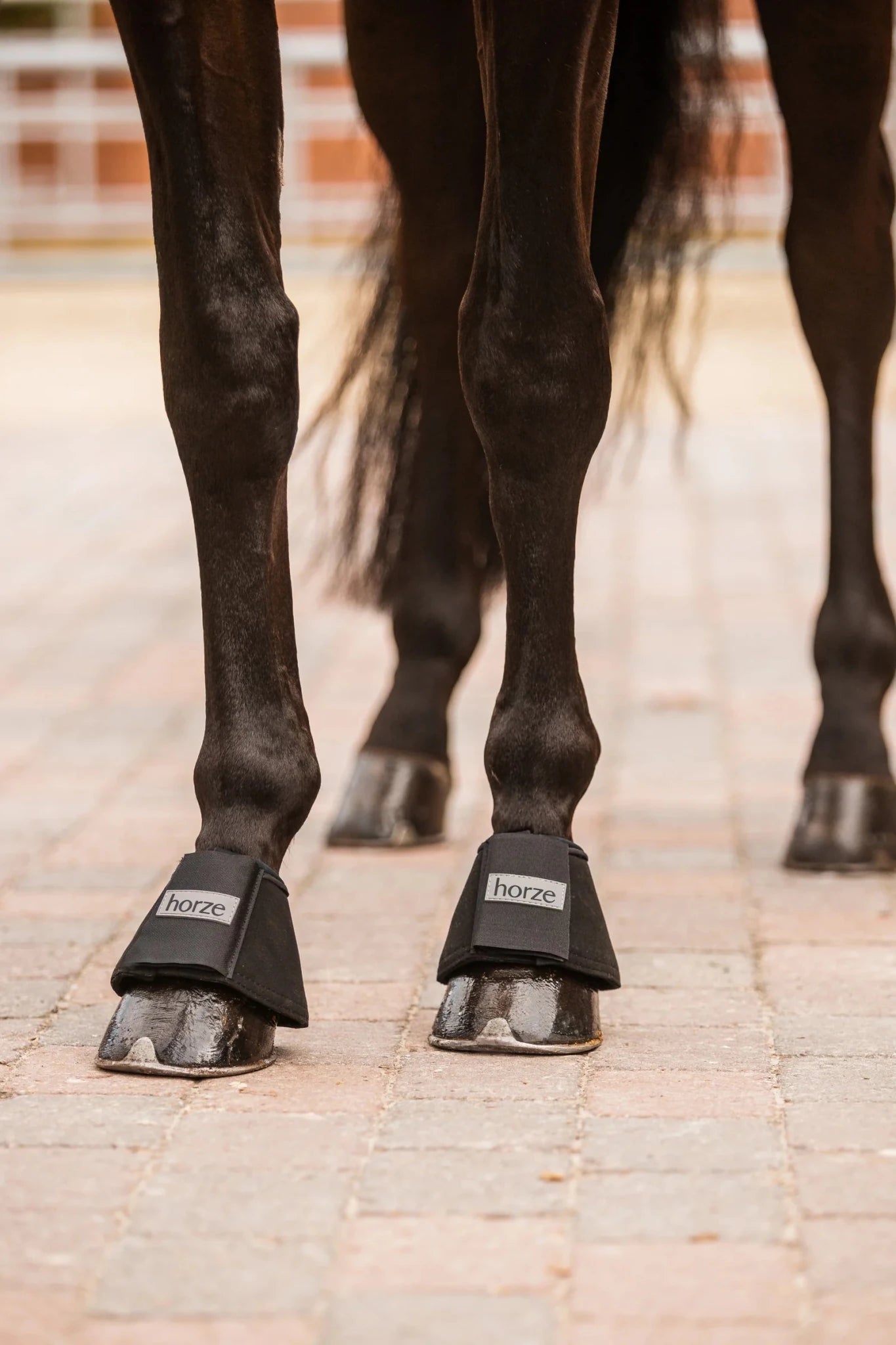 Horze Bell Boots Allround Black - Aitken's Saddlery