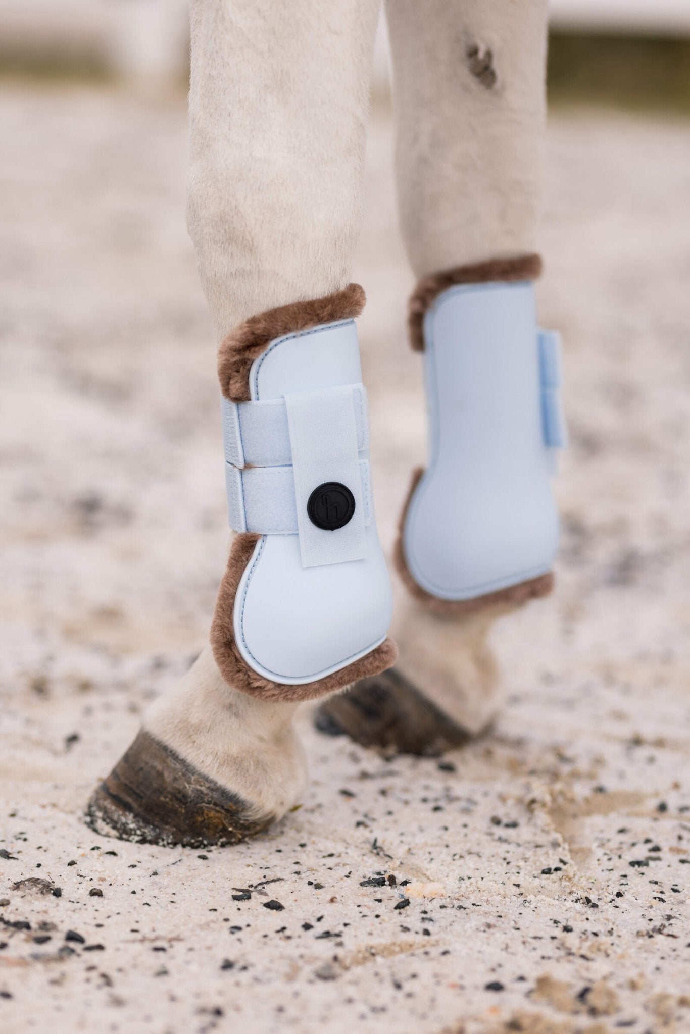 Horze Rising Star Tendon Boots Ice Water Blue - Aitken's Saddlery
