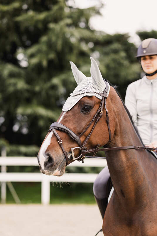 Horze Rose Tonique Ear Bonnet Northern Droplet - Aitken's Saddlery