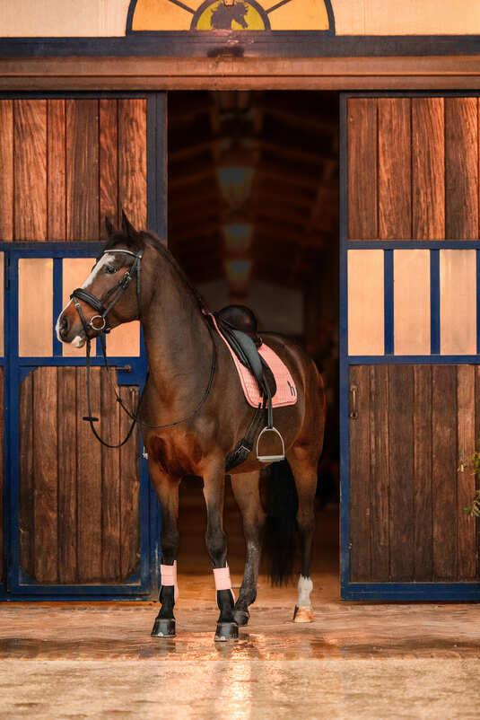 Horze Trixi Pony All Purpose Pad Shrimp Pink - Aitken's Saddlery