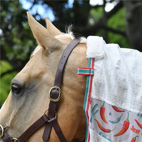 Hybrid Tearstop Combo Hot to Trot - Aitken's Saddlery