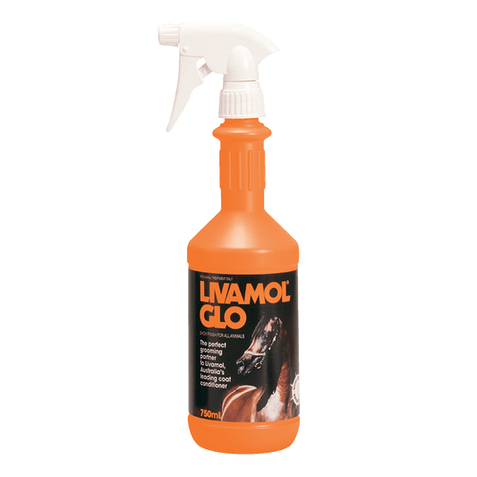 IAH Livamol Glo - Aitken's Saddlery