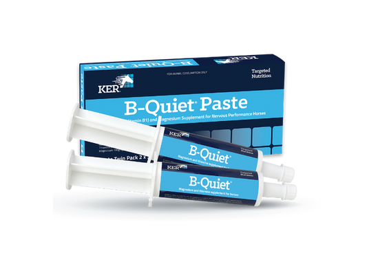 B Quiet Paste