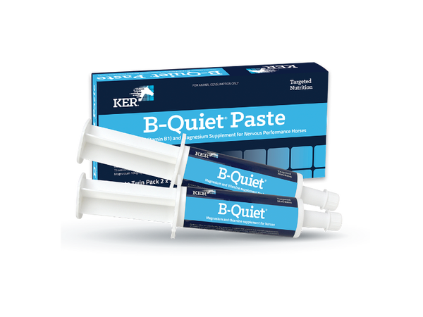 B Quiet Paste