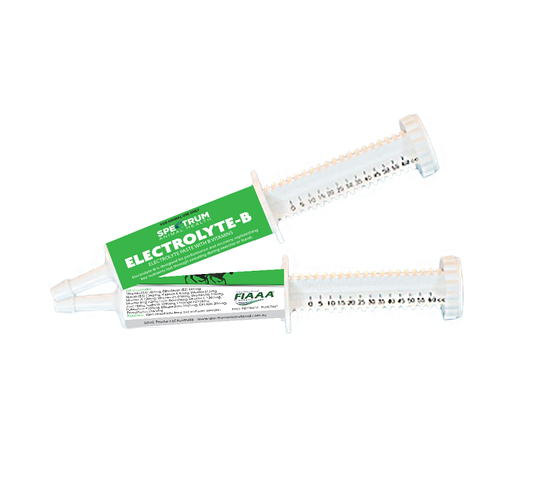 Electrolye Paste 60ml